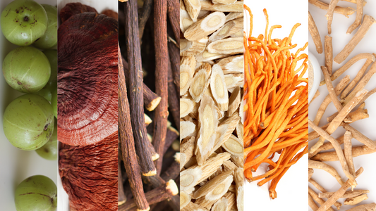 Adaptogens in Kapow Cacao for Immunity Support