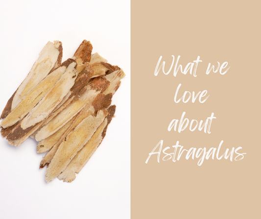 Health Benefits of Astragalus