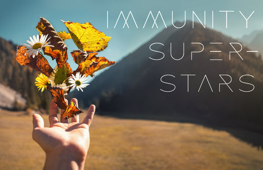 Best Adaptogens for Immunity