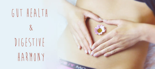Herbs for Gut Health & Digestive Harmony Guide