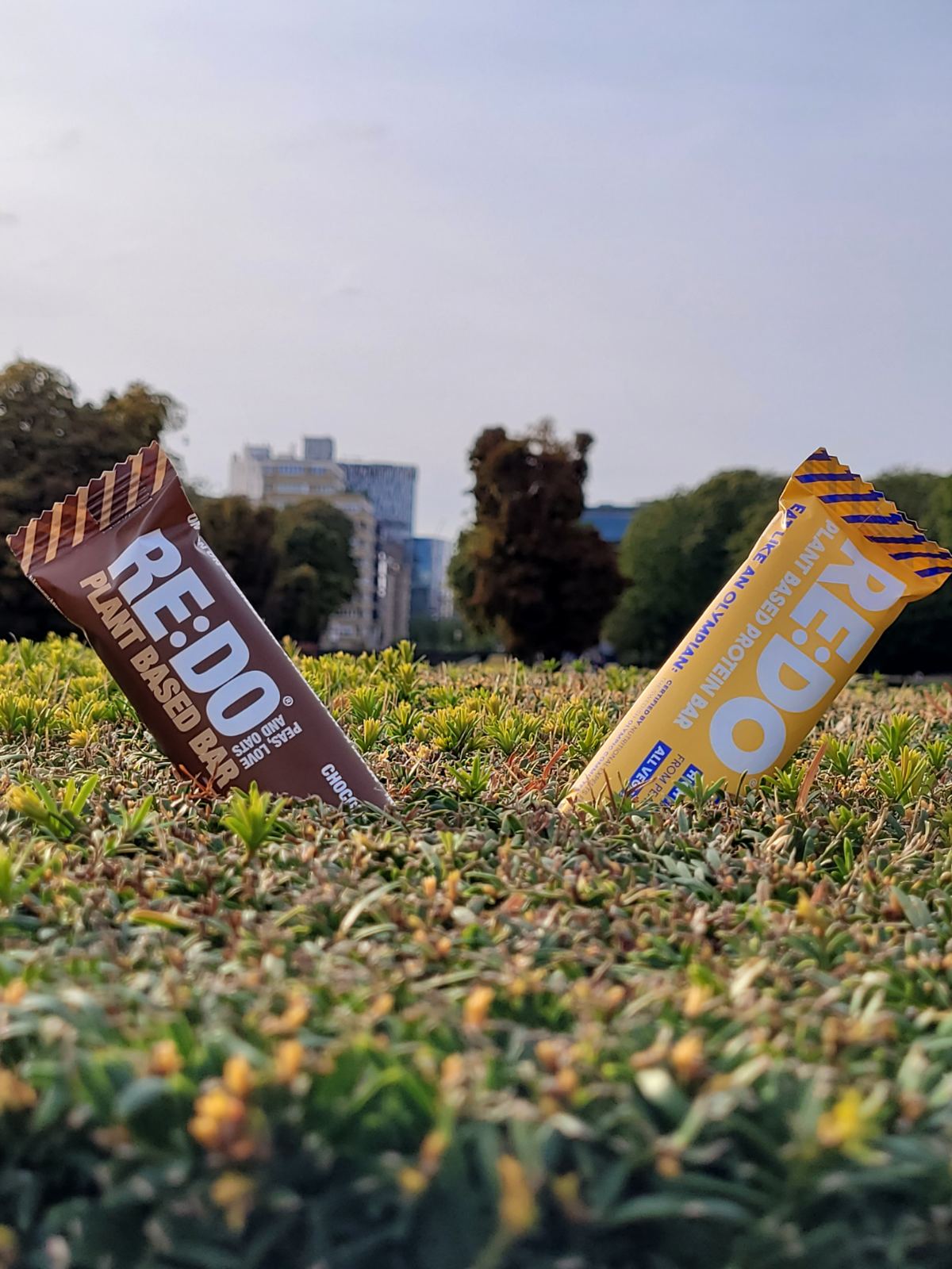 RE:DO Protein Bars