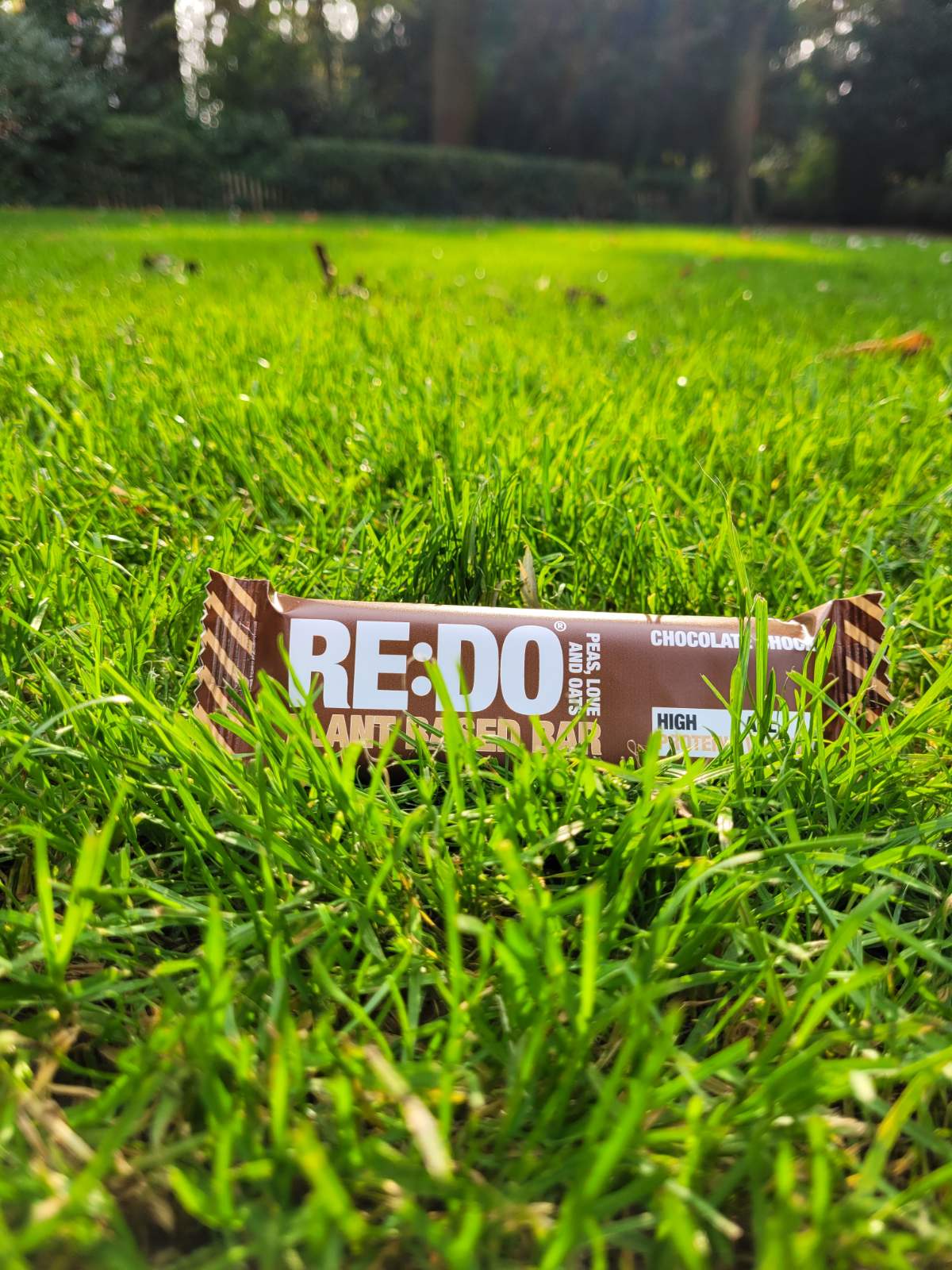Delicious Protein Bars