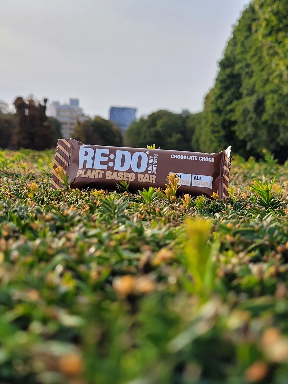 Chocolate Protein Bar