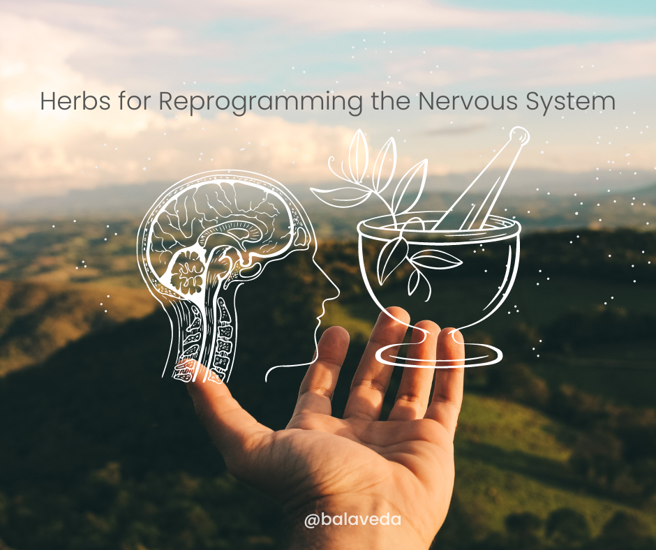 HERBS FOR REPROGRAMMING THE NERVOUS SYSTEM