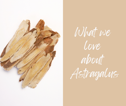 Ingredient Highlight: Astragalus