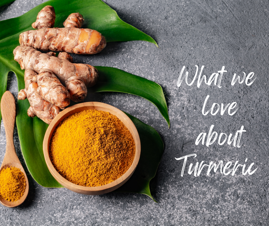 Ingredient Highlight: Turmeric